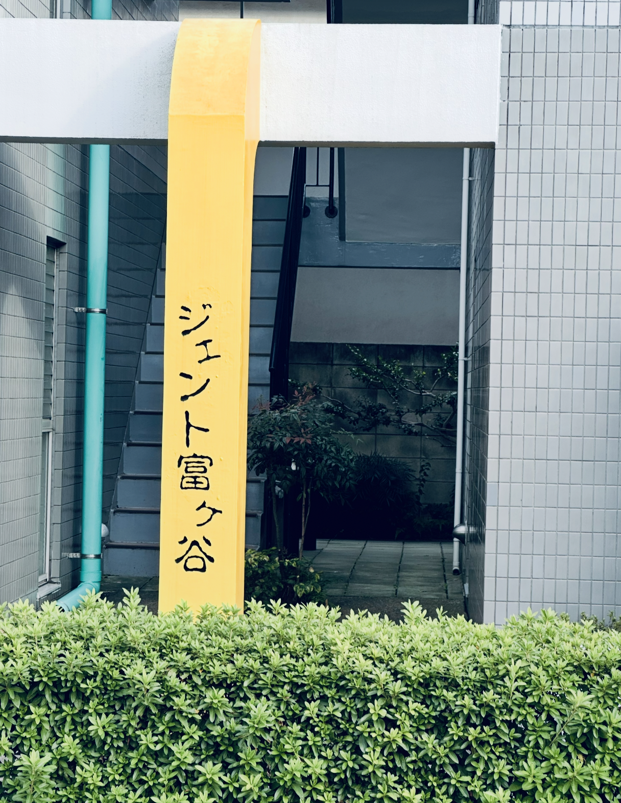 初ライブそして山家とジェント富ヶ谷。